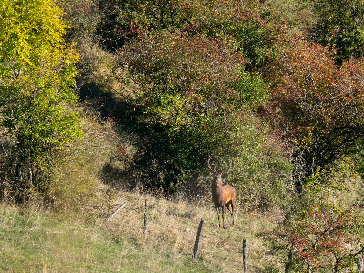 06102025-06 10 25 (26).jpg